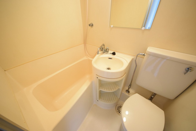 バス・シャワールーム　★～参考写真～部屋により内装は異なります★
