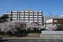 大学・短大　国立新潟大学歯学部（大学・短大）まで955m