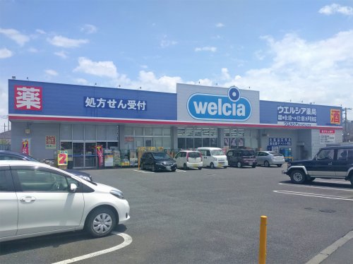 ドラックストア　ウェルシア水戸見和店（ドラッグストア）まで1159m