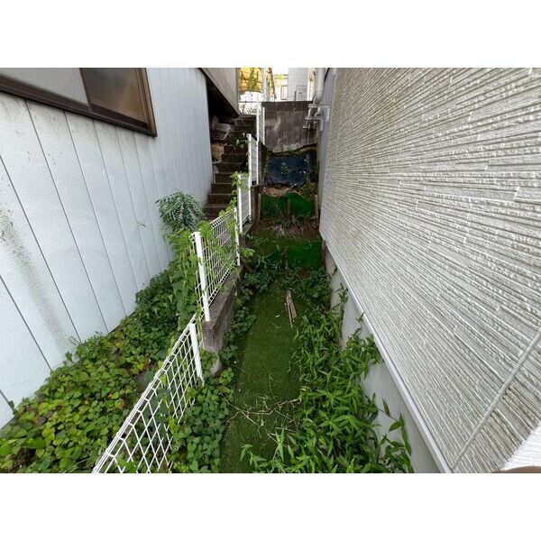 庭