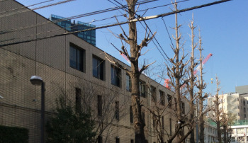 小学校　港区立赤羽小学校（小学校）まで269m
