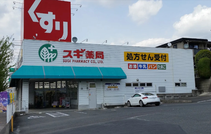 ドラックストア　スギ薬局 極楽店（ドラッグストア）まで657m