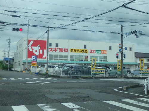 ドラックストア　スギドラッグ 柳津店（ドラッグストア）まで707m