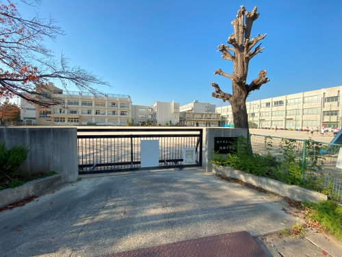 小学校　松戸市立北部小学校（小学校）まで718m