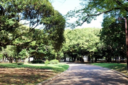 公園　代々木公園（公園）まで415m