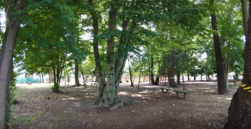 公園　吉野緑地（公園）まで673m