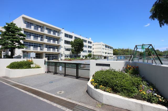 小学校　横浜市立折本小学校（小学校）まで738m