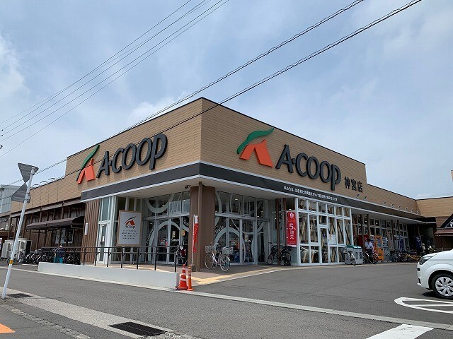 スーパー　Ａコープ神宮店（スーパー）まで869m