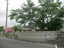 幼稚園・保育園　こじか幼稚園（幼稚園・保育園）まで220m