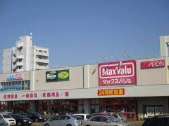 ショッピングセンター　麻生ショッピングセンター（ショッピングセンター）まで1300m