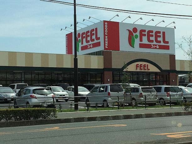 スーパー　ＦＥＥＬ（スーパー）まで1100m