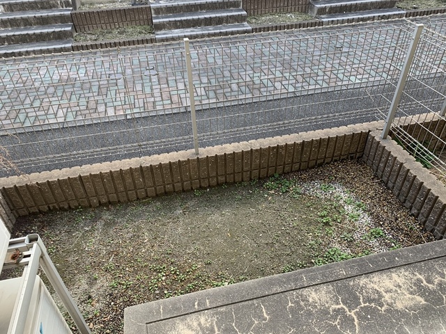 庭