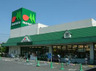 スーパー　マルエツ 成増団地店（スーパー）まで627m