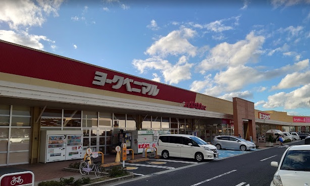 ヴィラ ルミナーレVの周辺写真