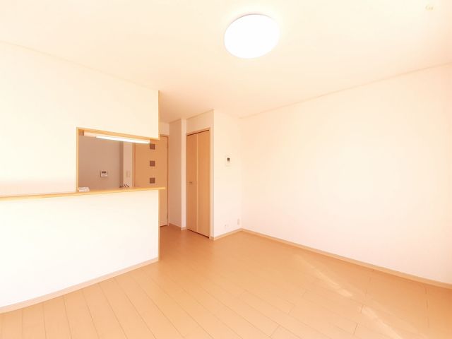 クリスマスローズDのその他写真
