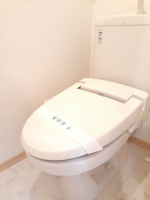 クリスマスローズDのトイレ写真