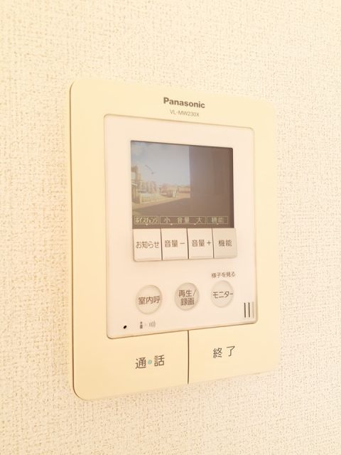 クリスマスローズDのその他写真
