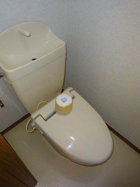 エクセルメゾンAのトイレ写真