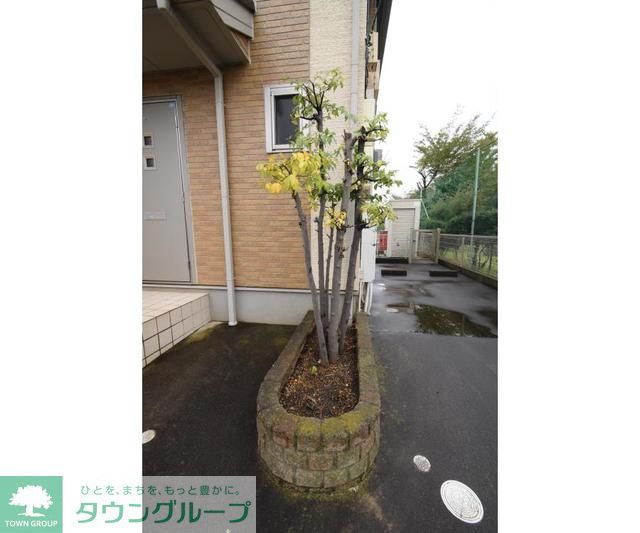 庭