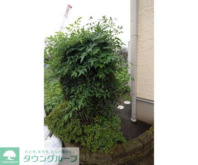 庭