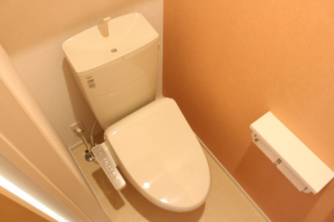 近江鉄道本線 八日市駅 徒歩32分 2階建 築8年のトイレ写真