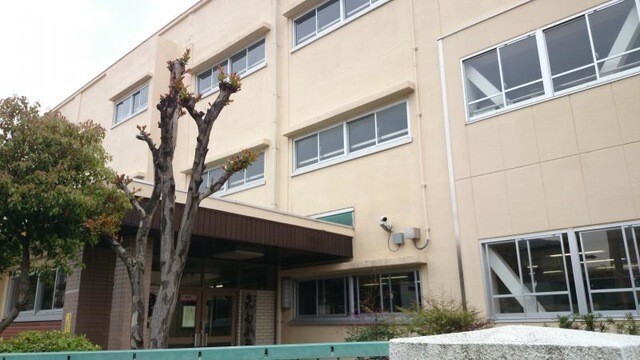 小学校　横浜市立矢向小学校（小学校）まで557m