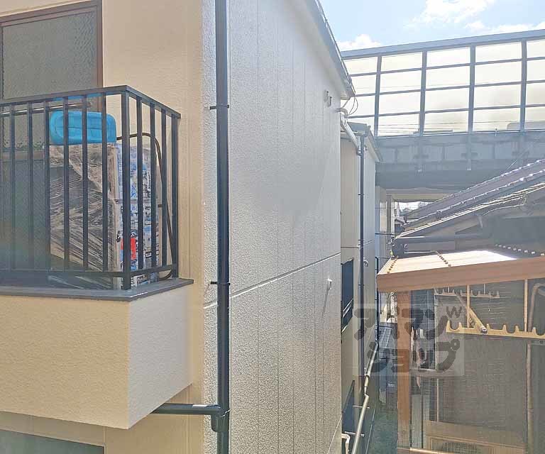 メゾンポインセチアのその他写真