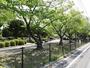公園　日名公園（公園）まで217m