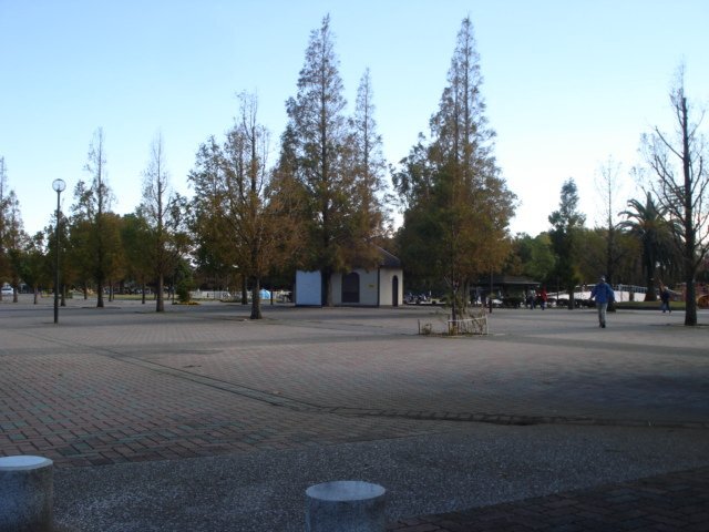その他　大師公園（その他）まで355m