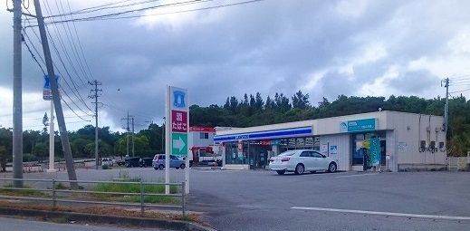 コンビニ　ローソン名護バイパス店（コンビニ）まで1100m