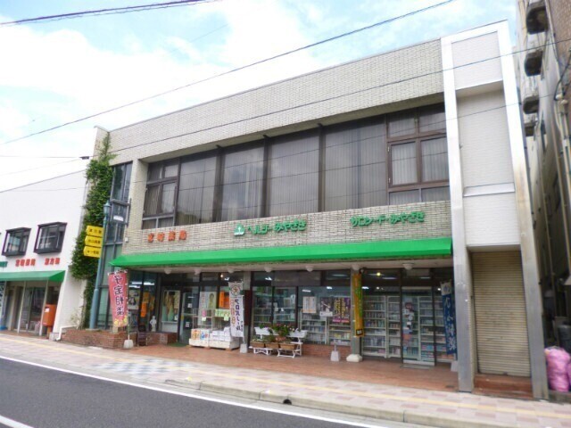 ドラックストア　宮崎薬局本店（ドラッグストア）まで529m
