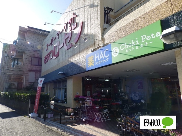 スーパー　そうてつローゼン六ツ川店（スーパー）まで859m