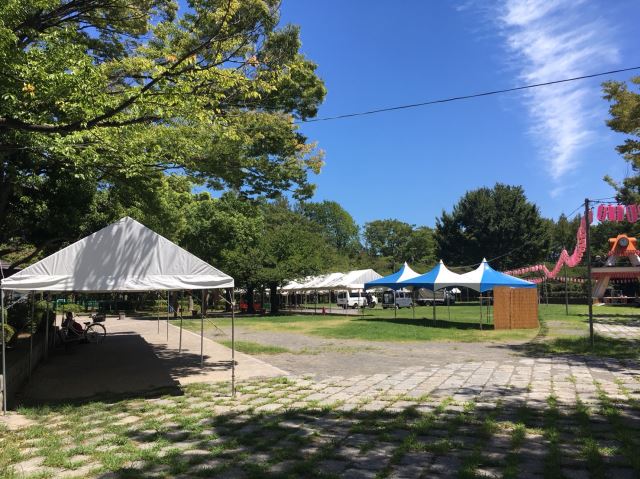公園　亀戸中央公園　大きな公園！イベントもあります。ランニングもオ（公園）まで380m