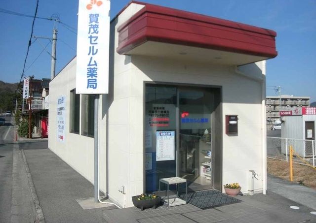 ドラックストア　賀茂セルム薬局（ドラッグストア）まで1200m