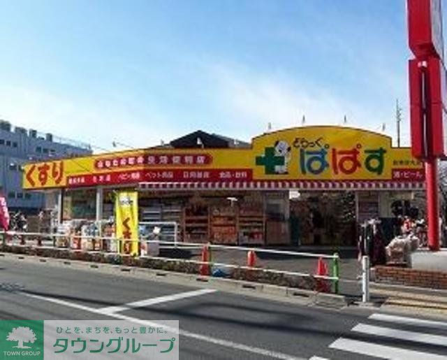 ドラックストア　どらっぐぱぱす板橋清水町店（ドラッグストア）まで330m