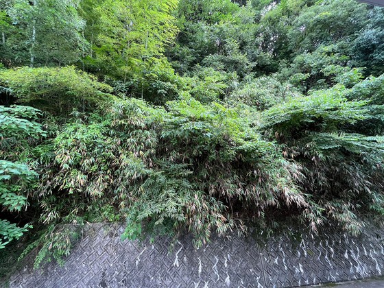 眺望　※別号室のお写真です
