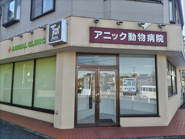 病院　アニック動物病院（病院）まで350m