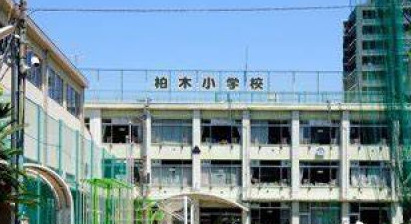 小学校　新宿区立柏木小学校（小学校）まで809m