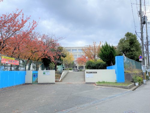 中学校　堺市立鳳中学校（中学校）まで348m