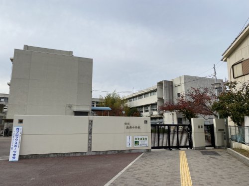 小学校　堺市立鳳南小学校（小学校）まで903m