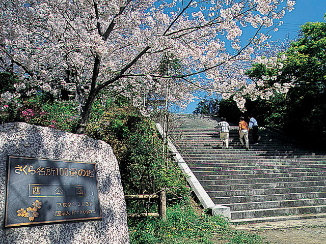 その他　西公園
