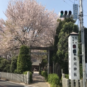 その他　長宮氷川神社（その他）まで450m