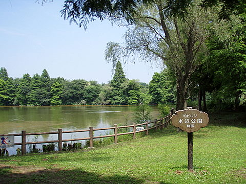 公園　柏ビレジ水辺公園（公園）まで872m