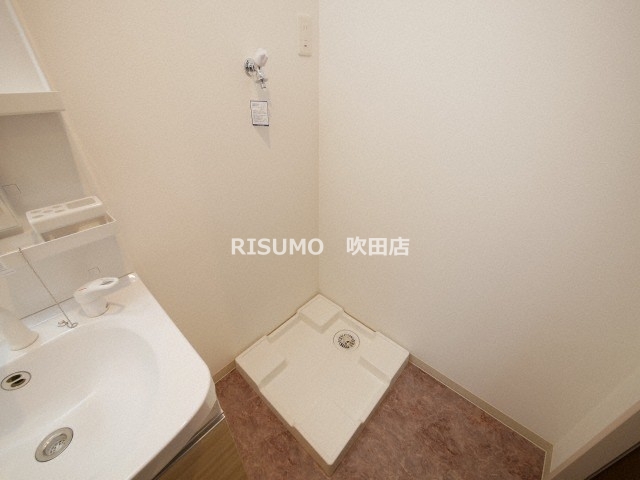 Fasecia rosaのその他写真