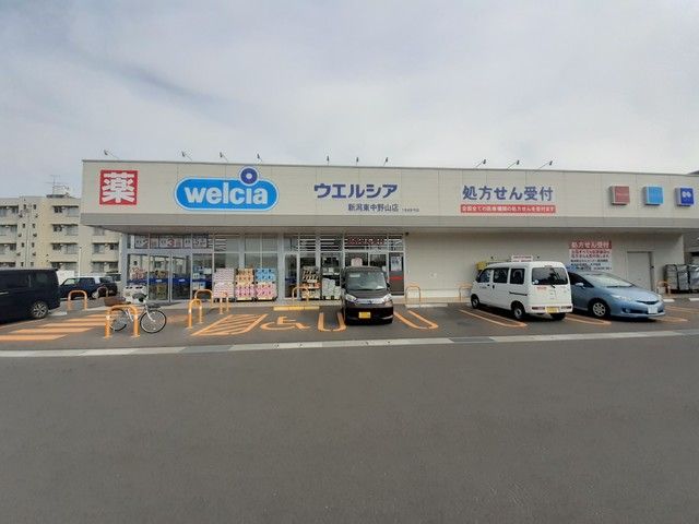 ドラックストア　ウエルシア新潟東中野山店（ドラッグストア）まで371m