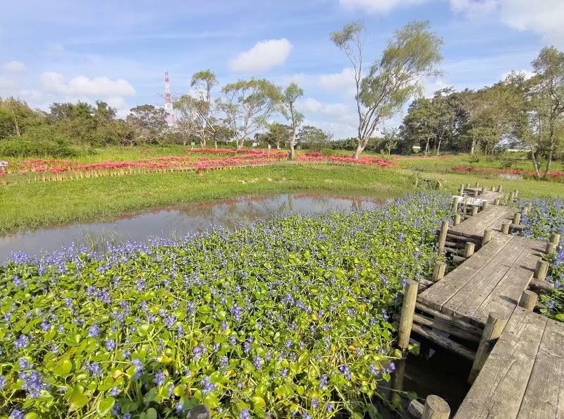 【SHIROYAMA　TERRACEの公園】