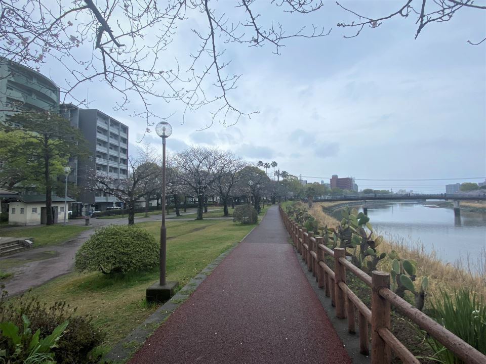 【ペガサスビルの公園】