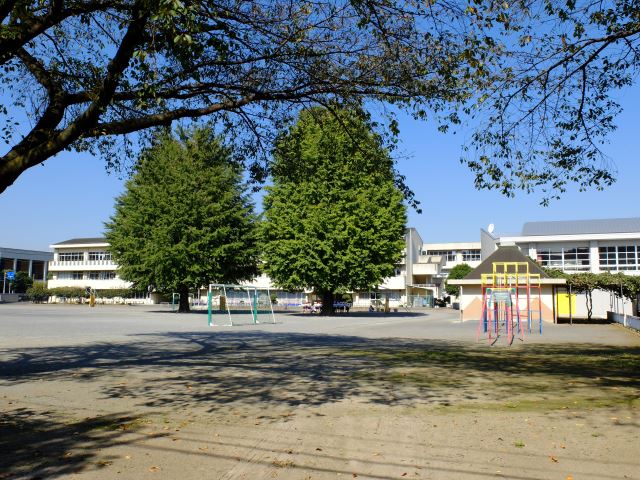 小学校　市立南台小学校（小学校）まで670m