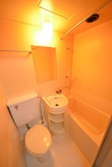 バス・シャワールーム　他部屋参考。