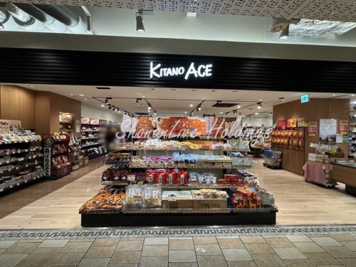 スーパー　北野エース CIAL桜木町店（スーパー）まで532m